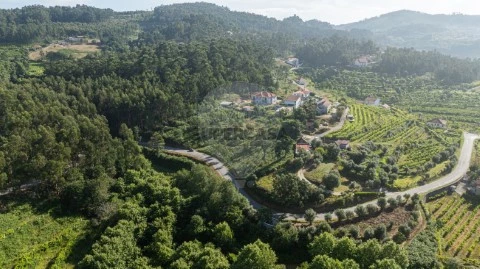 Terreno em Moreira do Castelo, Celorico de Basto