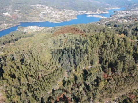 Terreno em Salvador e Santo Aleixo de Além-Tâmega, Ribeira de Pena