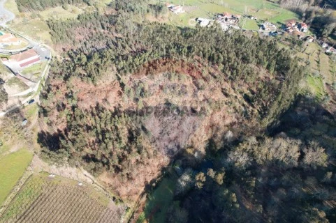 Terreno em São Gens, Fafe