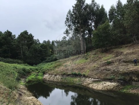 Terreno em Britelo, Gémeos e Ourilhe, Celorico de Basto