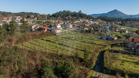 Terreno em Britelo, Gémeos e Ourilhe, Celorico de Basto