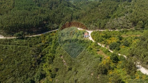 Farm  in Vale de Bouro, Celorico de Basto