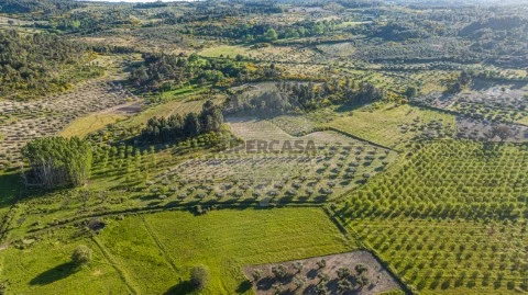 Terreno em Santa Valha, Valpaços