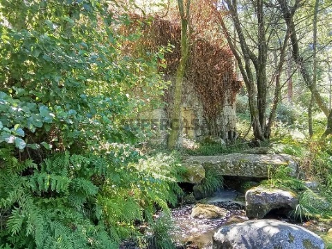 Quinta T2 em Souto, Terras de Bouro