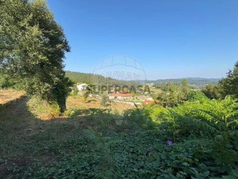 Terreno em Cambeses, Barcelos