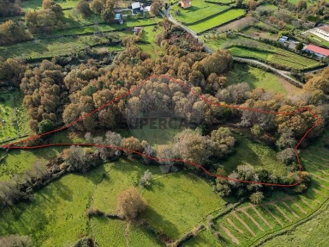 Terreno em Adoufe e Vilarinho de Samardã, Vila Real