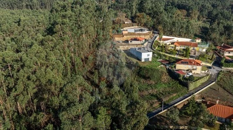 Terreno em Moreira do Castelo, Celorico de Basto
