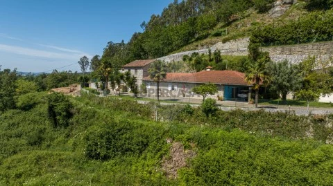Boerderij  Op Caldas de Vizela (São Miguel e São João), Vizela