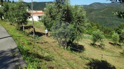 Terreno em Torres do Mondego, Coimbra
