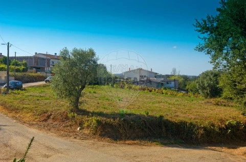 Terreno em Antuzede e Vil de Matos, Coimbra