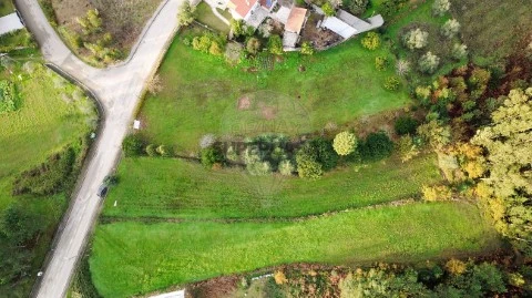 Terreno em Figueira de Lorvão, Penacova