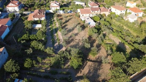 Terreno em Midões, Tábua