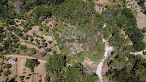 Terreno em Midões, Tábua