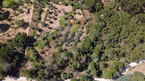 Terreno em Midões, Tábua