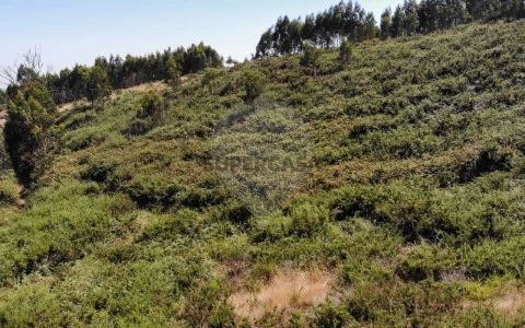 Terreno em Sobral de Monte Agraço, Sobral de Monte Agraço