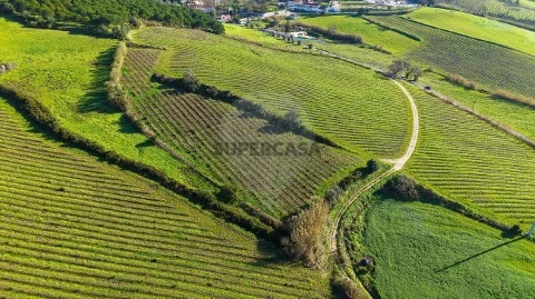 Terreno em Carvoeira e Carmões, Torres Vedras