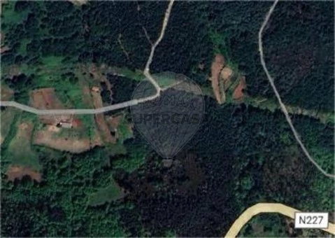 Terreno em Santa Cruz da Trapa e São Cristóvão de Lafões, São Pedro do Sul