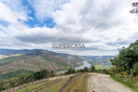 Terreno em Vila Seca e Santo Adrião, Armamar