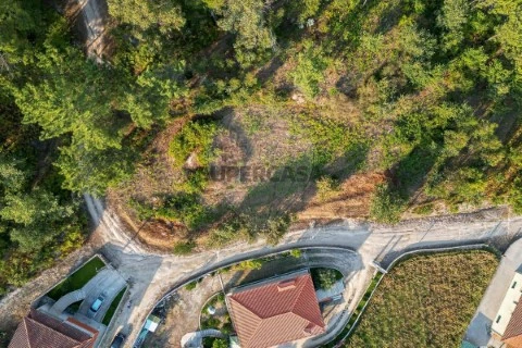 Land in Travanca, Amarante
