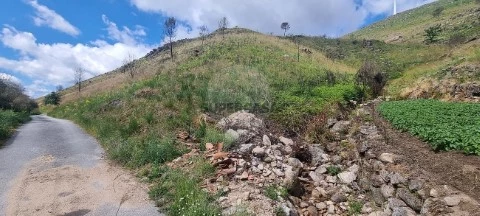 Terreno em Aldeia Nova, Trancoso