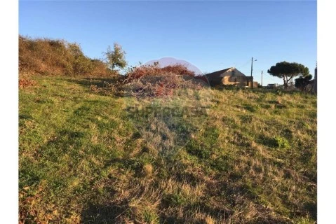 Terreno em Cela, Alcobaça
