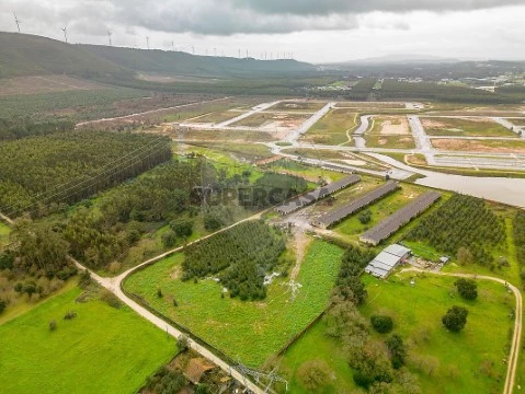 Terreno em Benedita, Alcobaça