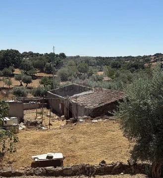 Terreno em Zebreira e Segura, Idanha-a-Nova