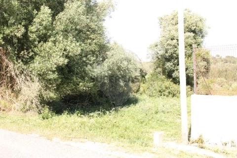 Terreno em Aveiras de Baixo, Azambuja