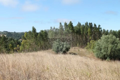 Terreno em Vale do Paraíso, Azambuja