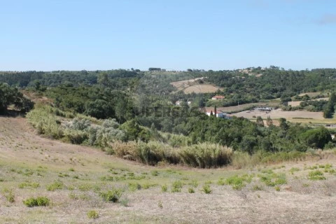 Terreno em Vale do Paraíso, Azambuja