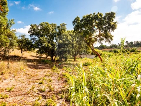 Terreno na Azambuja, Azambuja