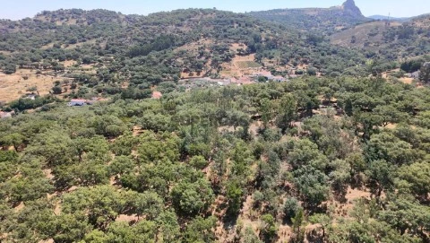 Terreno em Santa Maria de Marvão, Marvão