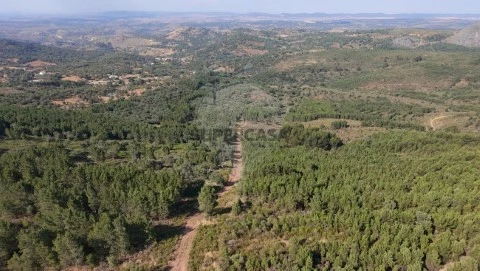 Terreno em Santa Maria de Marvão, Marvão