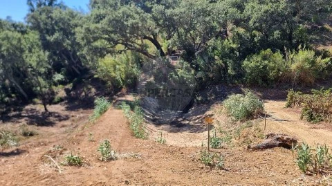 Terreno em Vale do Paraíso, Azambuja