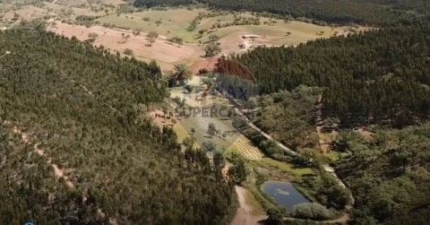 Quinta T0 em Relíquias, Odemira