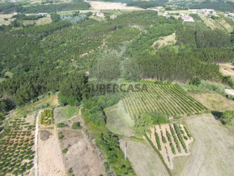 Terreno em Carvalhal, Bombarral