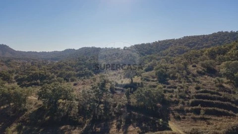 Quinta T0 em Colos, Odemira