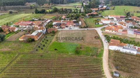 Terreno em Bustos, Troviscal e Mamarrosa, Oliveira do Bairro