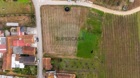 Terreno em Bustos, Troviscal e Mamarrosa, Oliveira do Bairro