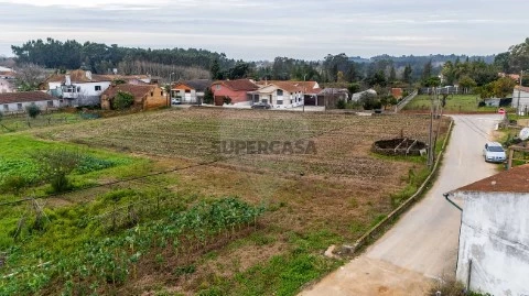 Terreno em Bustos, Troviscal e Mamarrosa, Oliveira do Bairro