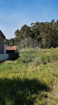 Terreno em Oliveira do Bairro, Oliveira do Bairro