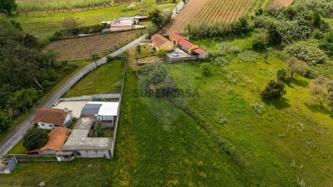 Terreno em Amoreira da Gândara, Paredes do Bairro e Ancas, Anadia