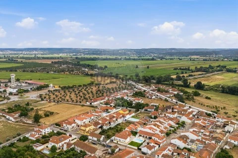Haus 3 Zimmer auf Golegã, Golegã