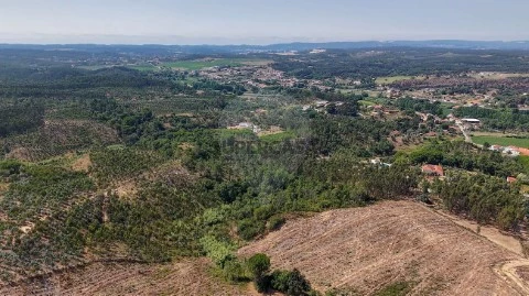 Terreno em São João da Ribeira e Ribeira de São João, Rio Maior