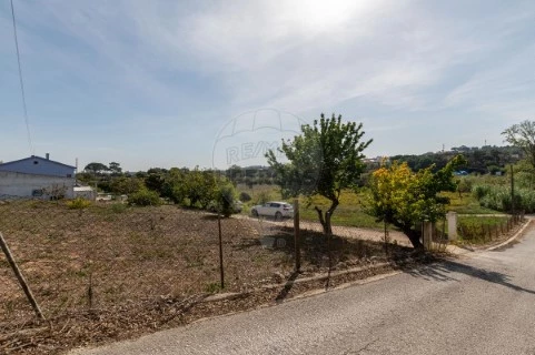 Quinta T3 em Alcoentre, Azambuja