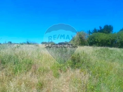 Terreno em Olhalvo, Alenquer