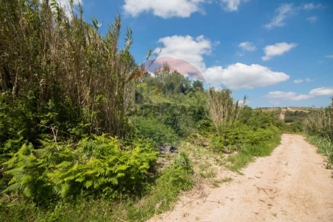 Terreno em Carnota, Alenquer