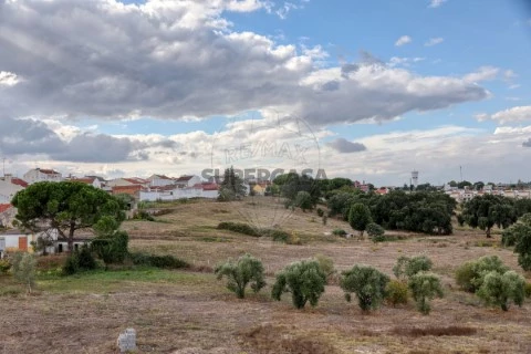 Terreno em Cartaxo e Vale da Pinta, Cartaxo