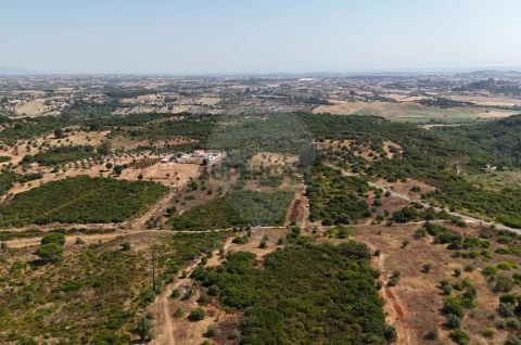 Terreno em Almoster, Santarém