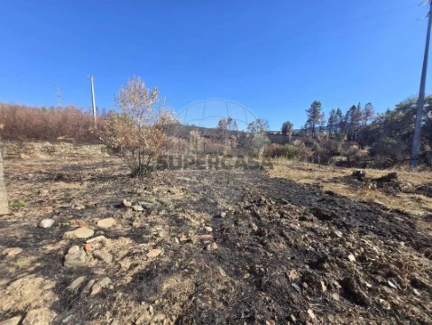 Terreno em Silvares, Fundão